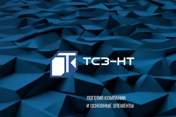 Брендирование компании ООО Техно Северо Запад. Вариант 1